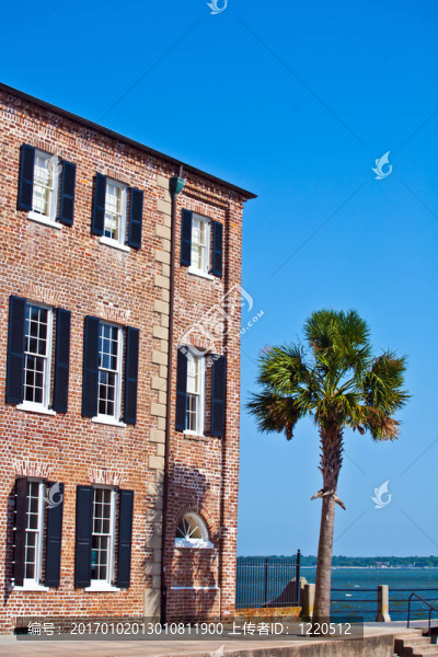 棕櫚樹古建筑立面