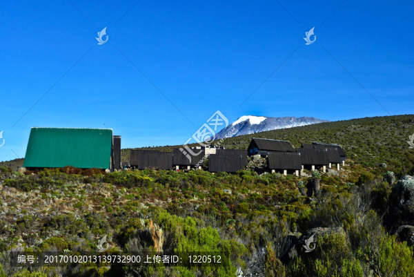 乞力馬扎羅國(guó)家公園；非洲最高的山（5892m）；通過(guò)作物。