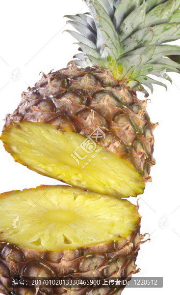 菠蘿