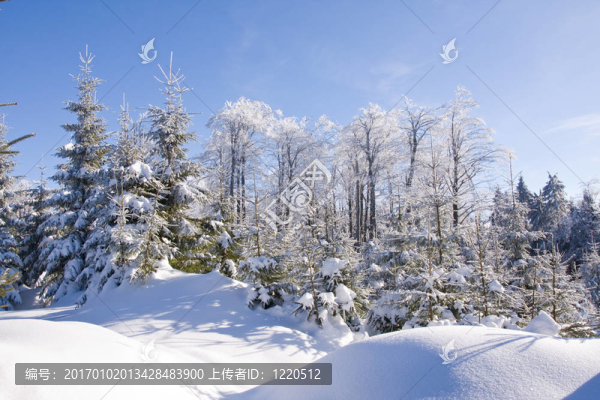 山上的雪