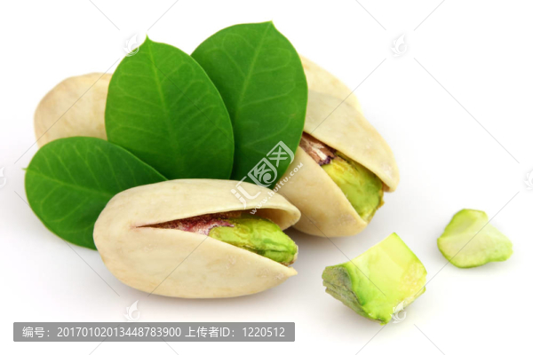 開(kāi)心果的葉子