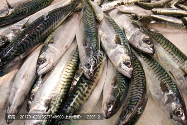 市場(chǎng)上的鮮魚(yú)