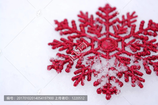 美麗的雪花