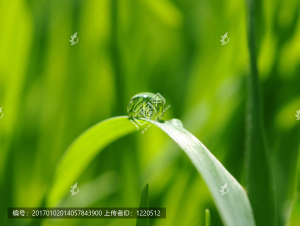 水滴