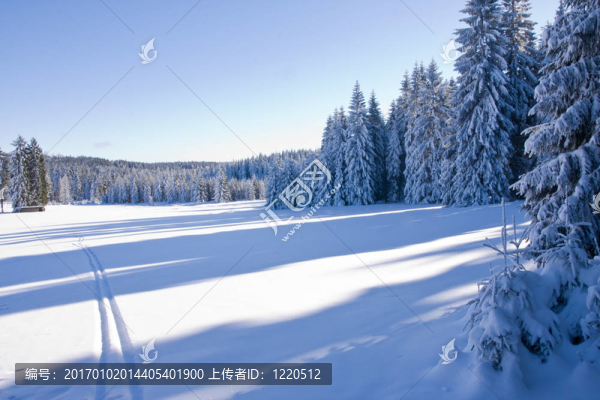 山上的雪