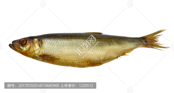 熏鯡魚