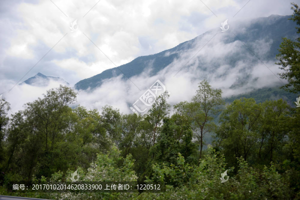 山