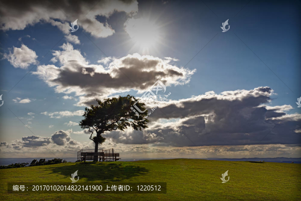 在12山在多風(fēng)的天氣與太陽(yáng)樹(shù)；分析；英國(guó)