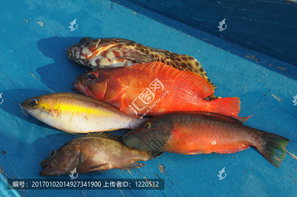 巴拉望島