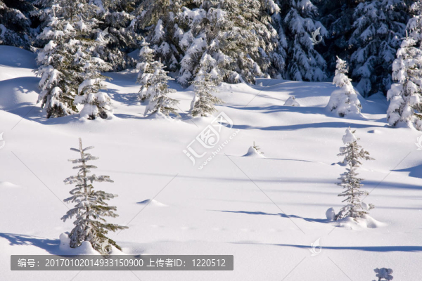山上的雪