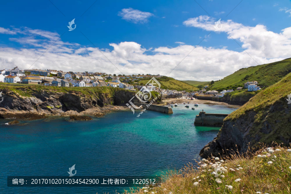 灣和艾薩克港白色的花朵；康沃爾；英國(guó)