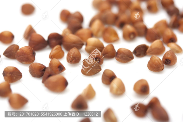白底蕎麥。關(guān)閉