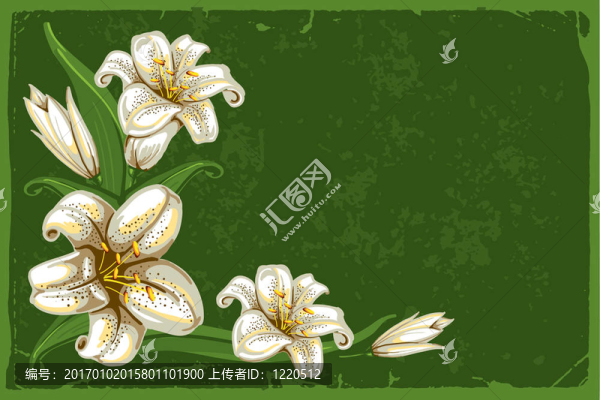 背景有百合花