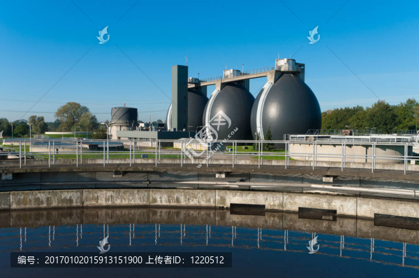 污泥消化池