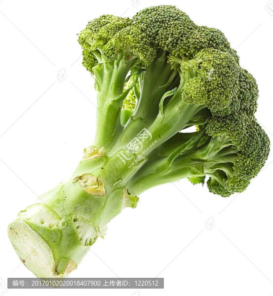 西蘭花中分離