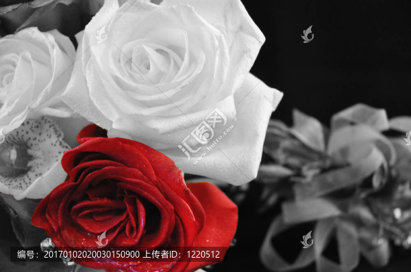 把玫瑰涂成紅色
