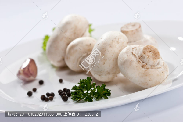 蘑菇