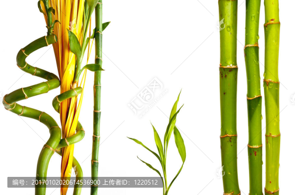 竹集
