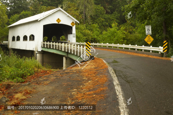 羅切斯特麗澤橋