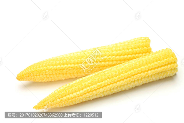 年輕的玉米