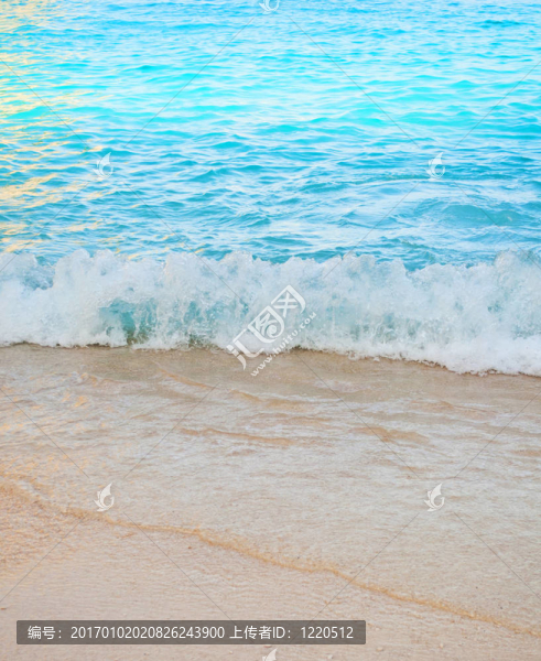 海灘和海景