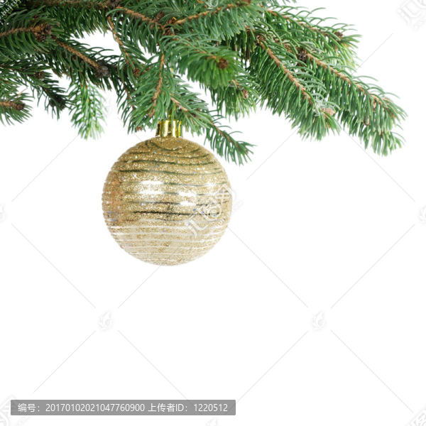 樹枝上的新年玩具