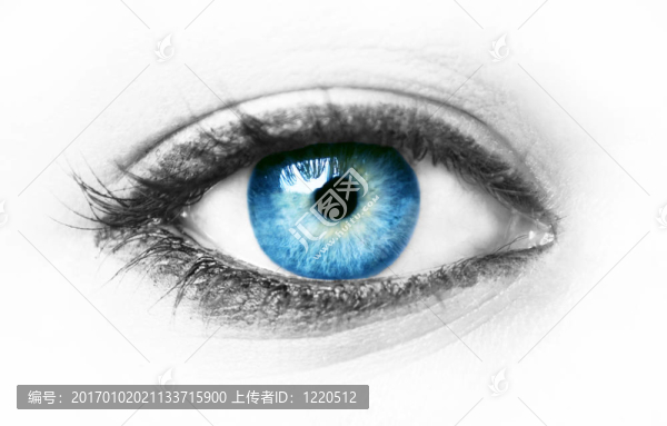 藍(lán)眼睛的分離