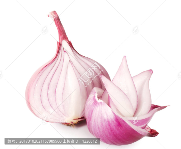 新鮮洋蔥