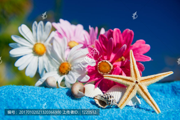熱帶溫泉