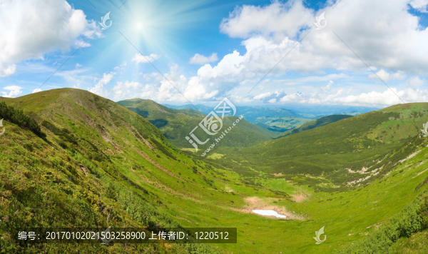 夏季山地草甸全景