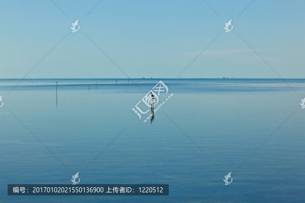 鳥坐在海洋的木柄上等待魚兒