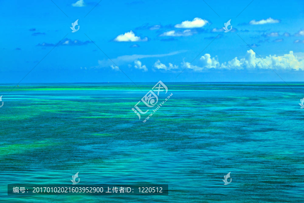 美麗的海洋在佛羅里達(dá)群島