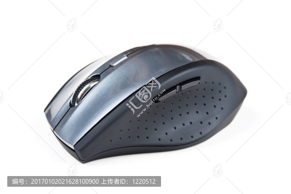 電腦小白鼠