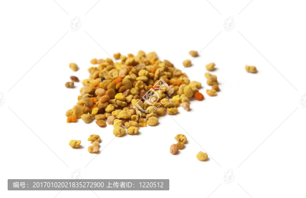 花的花粉