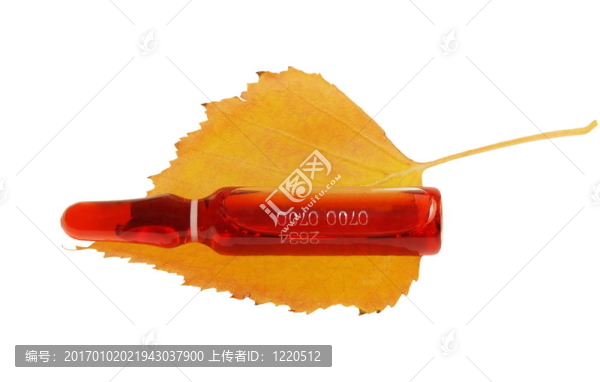 在白樺葉醫(yī)用安瓿