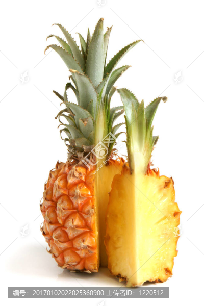 成熟的菠蘿