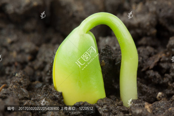 小廠