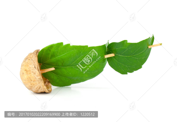 胡桃木做的帆船