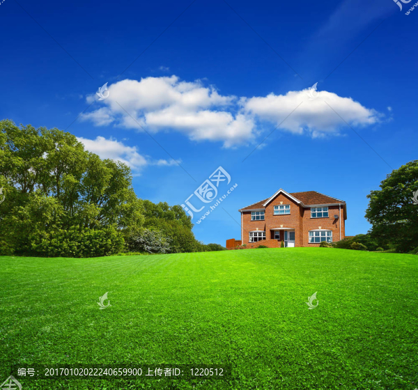 綠色景觀與新住宅