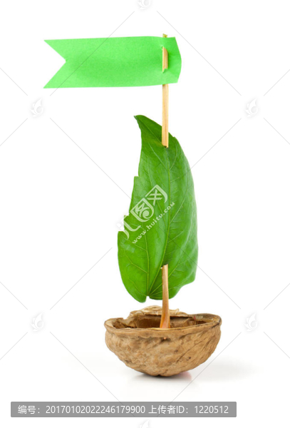 胡桃木做的帆船