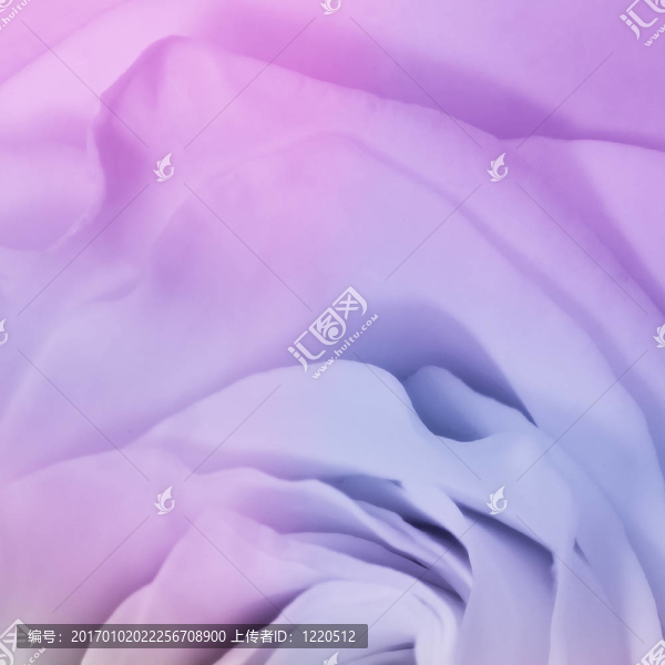 多色玫瑰