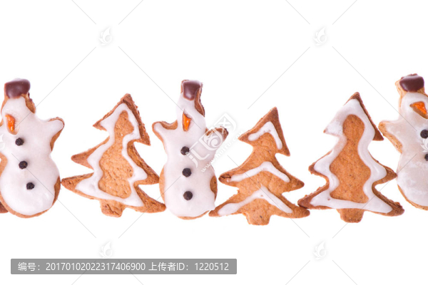 姜雪人和樹