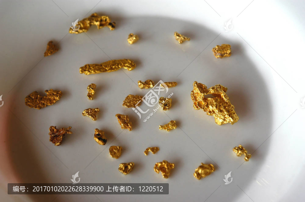 澳大利亞淘金者