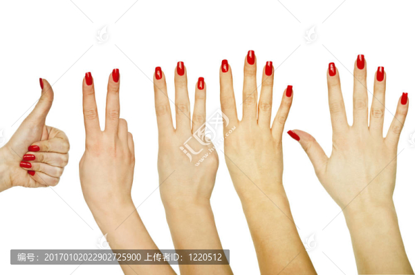 一套計數(shù)婦女手1至5孤立在白色背景