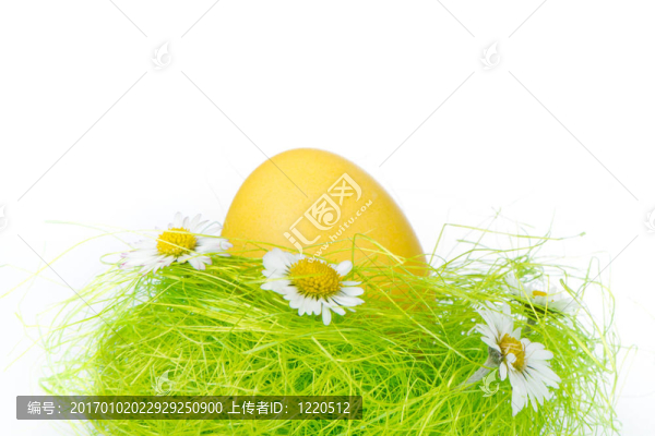 巢中的復(fù)活節(jié)彩蛋