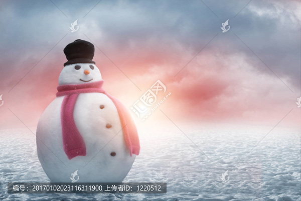 快樂的雪人
