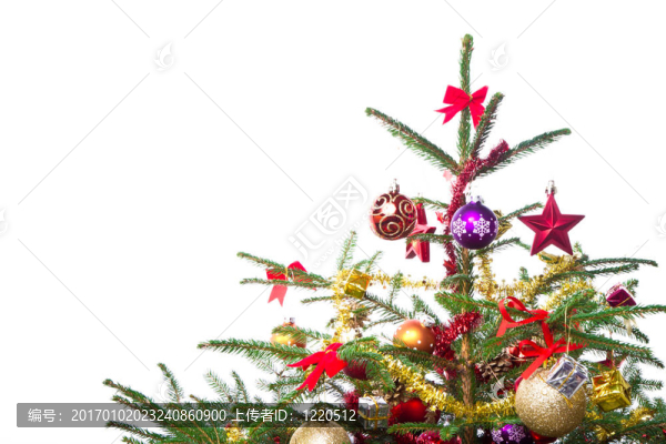 裝飾圣誕樹(shù)-匯圖網(wǎng) www.fosd68.com 裝飾圣誕樹(shù)
