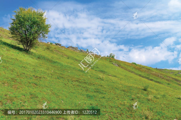 夏日風(fēng)景與青山綠水