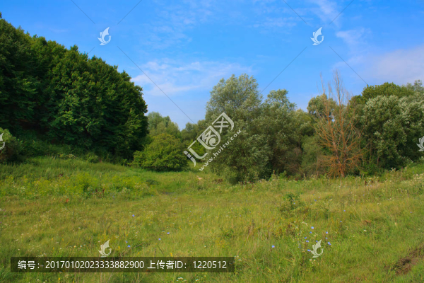 綠色草甸的夏季景觀；森林與藍(lán)天
