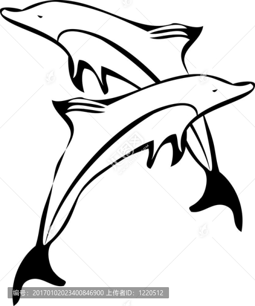 海豚玩
